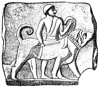 Рис. 1. Терракотовая доска Бирса Нимруда «Ассирийская боевая собака»Для тех же