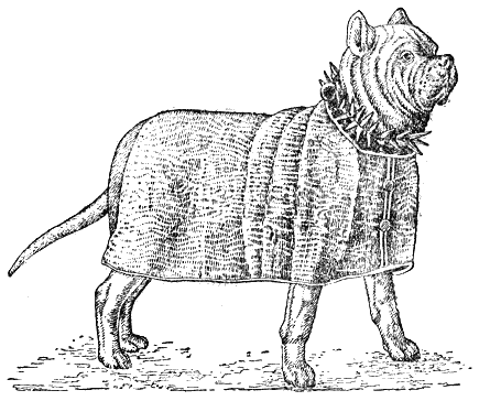 Рис. 2. Римская военная собака (примитивный тип мастифа)Во время войны Испании