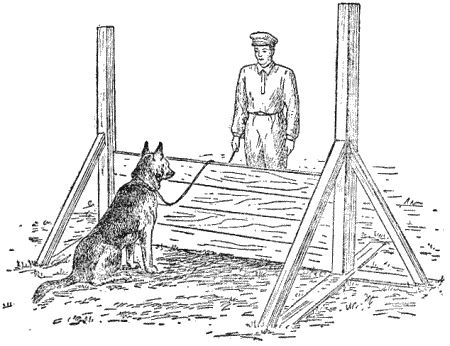 Рис. 124. Положение дрессировщика перед прыжком собакиДля выработки у собаки
