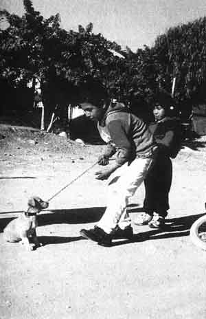 Рис. 13. Мексиканский мальчик со щенком. Воспитание людьми подобранных щенков