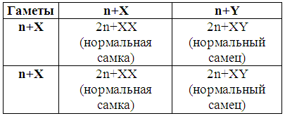 Таблица. 1 Возможные варианты генотипов и фенотипов потомства, возникающие при нормальном