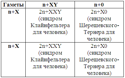 Таблица. 3 Возможные варианты генотипов и фенотипов потомства, возникающие при аномальном