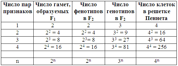 Таблица 8. Числовые соотношения в потомстве при полигибридном скрещиванииКачественные